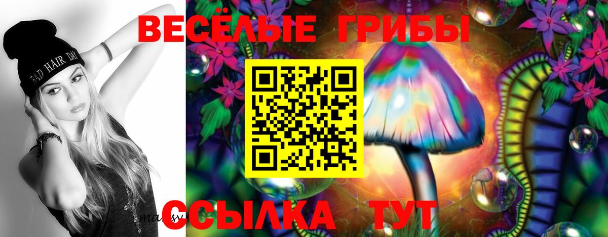 Псилоцибиновые грибы ЛСД  Псилоцибиновые грибы мицелий  Вход с VPN  Новоалтайск 